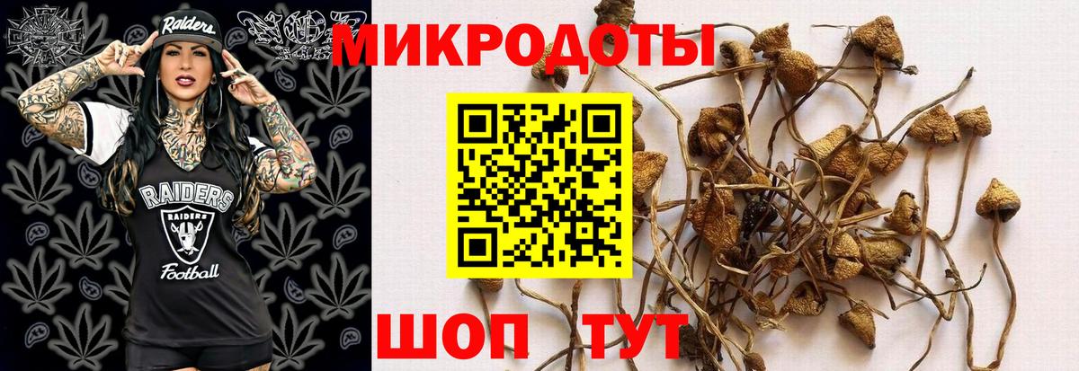 Галлюциногенные грибы MAGIC MUSHROOMS  Вход с VPN  Амурск  Псилоцибиновые грибы Psilocybe 